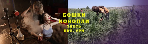 шишки Балабаново