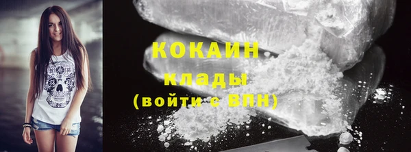 шишки Балабаново