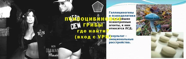 шишки Балабаново