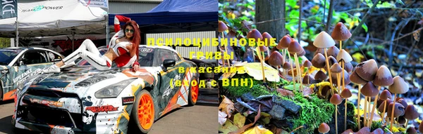 шишки Балабаново