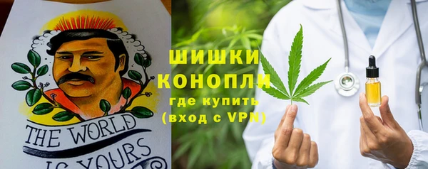 шишки Балабаново